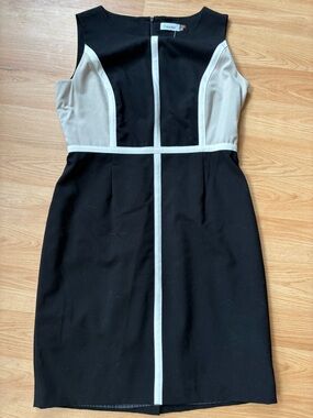 Calvin Klein Black Dress with White Panel Accents Sz 12